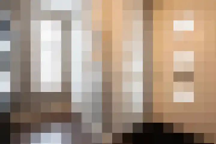 Steenarend 9 Bosschenhoofd thumbnail 8