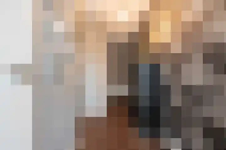 Steenarend 9 Bosschenhoofd thumbnail 9