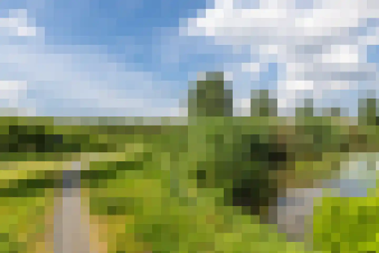 Steenbakker 18 Nieuwerbrug aan den Rijn thumbnail 53