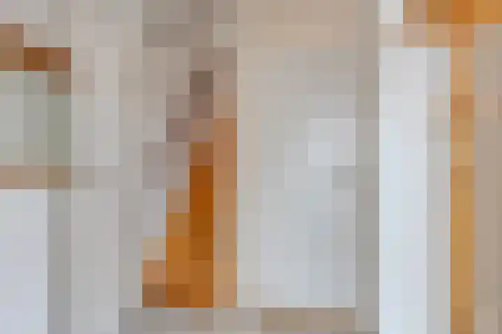 Steenbakkerij 3 Winsum thumbnail 25