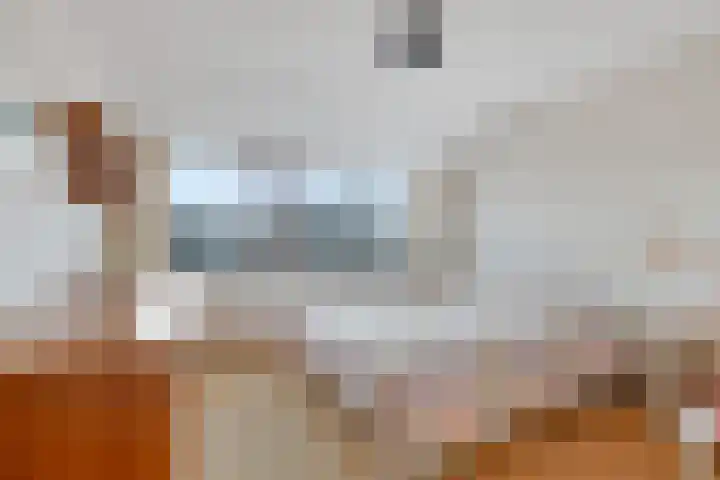 Steenbakkerij 3 Winsum thumbnail 27