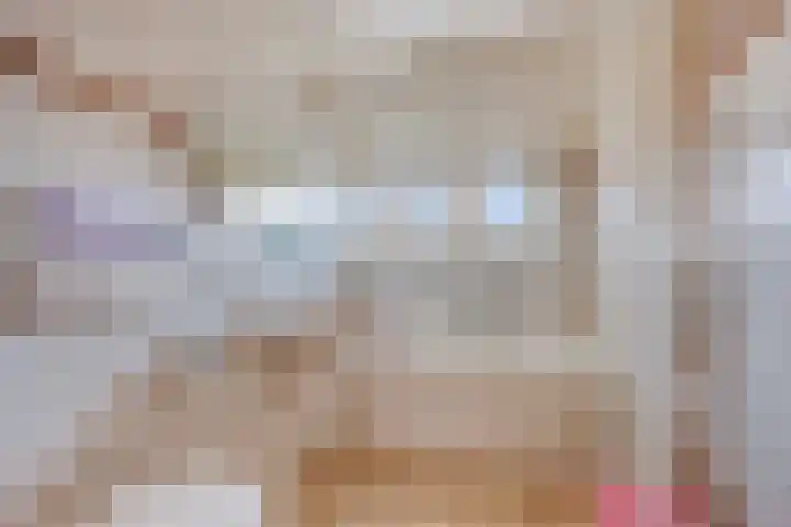 Steenbakkerij 3 Winsum thumbnail 32