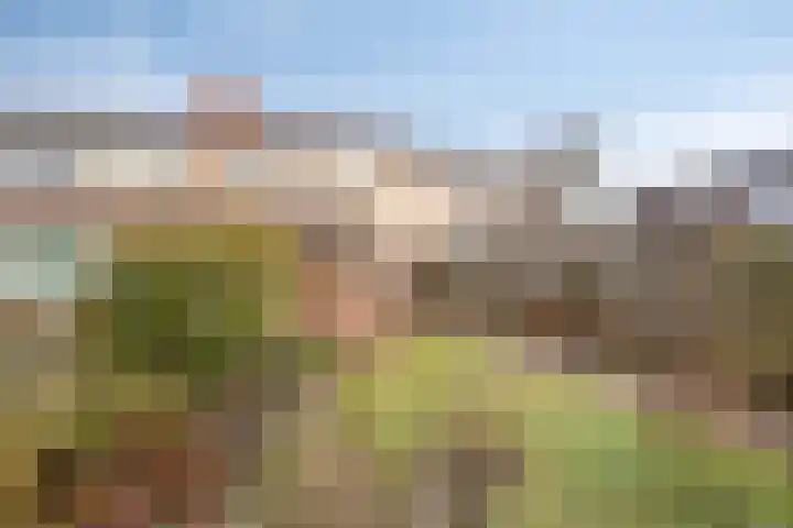 Steenbakkerij 3 Winsum thumbnail 36