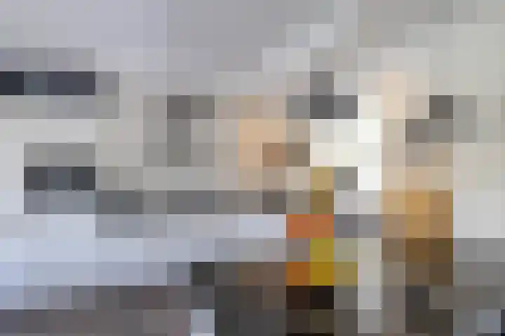 Steenbakkerij 5 Winsum thumbnail 10