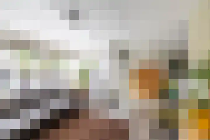 Steenbakkerij 5 Winsum thumbnail 14
