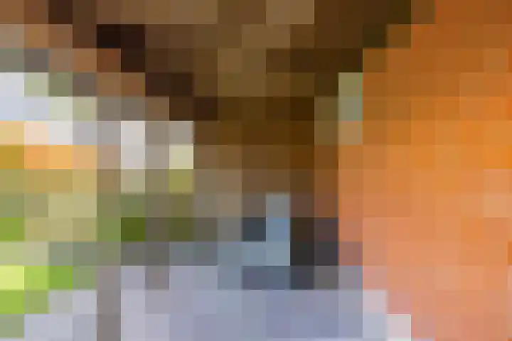 Steenbakkerij 5 Winsum thumbnail 18