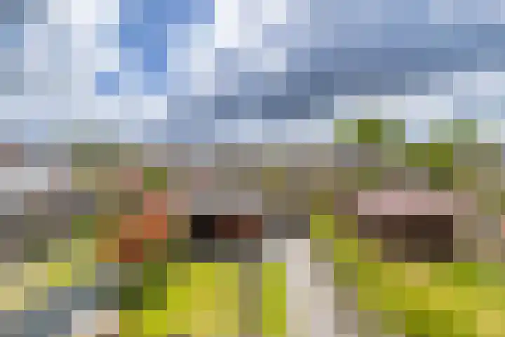 Steenbakkerij 5 Winsum thumbnail 19