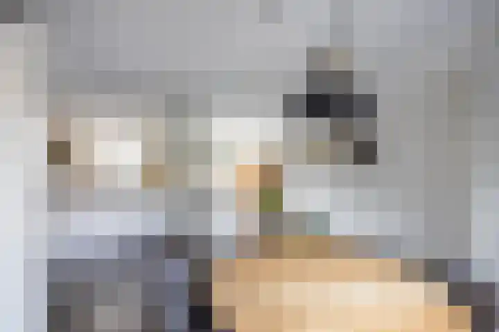 Steenbakkerij 5 Winsum thumbnail 6