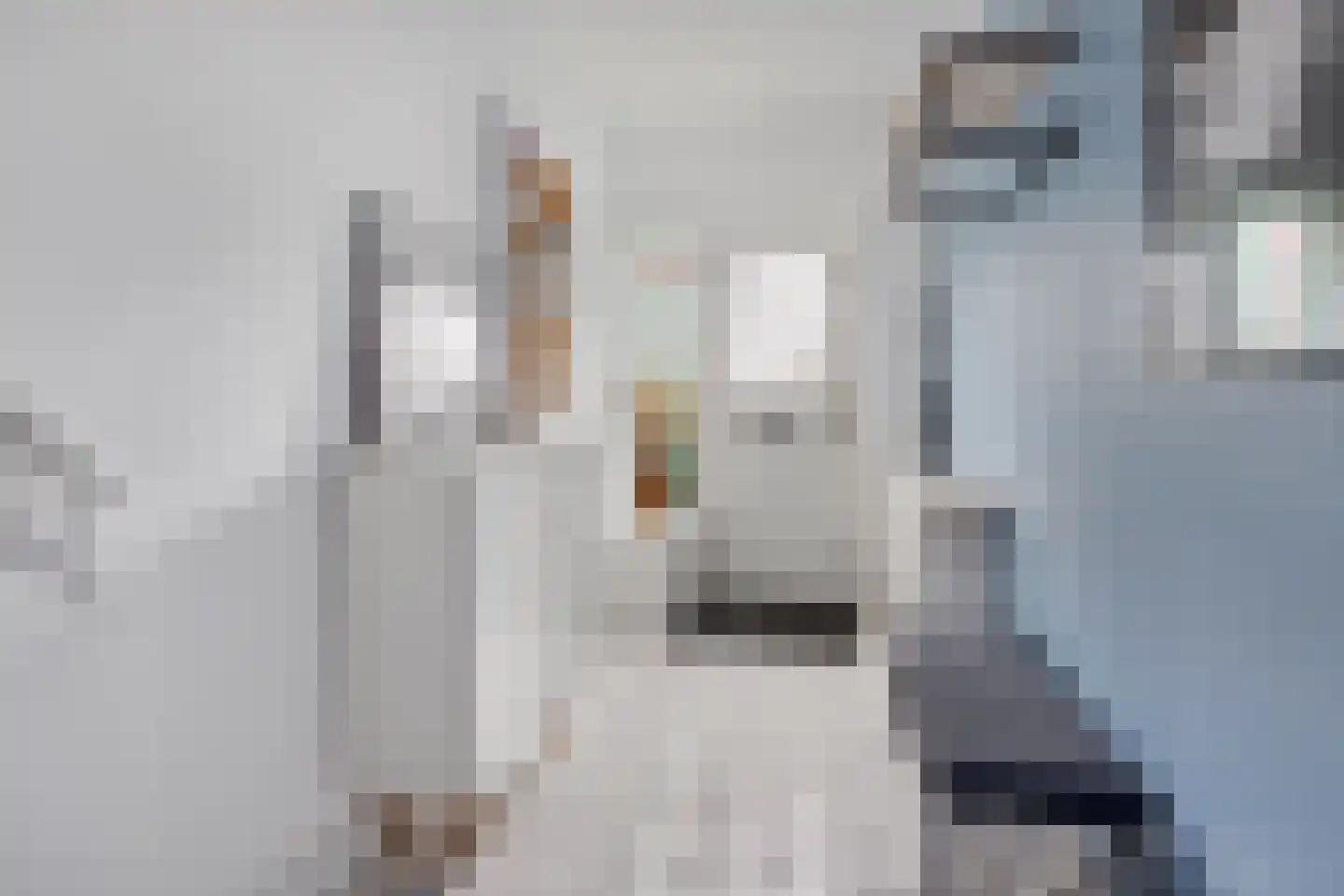 Steenbakkerslaan 14 Leiderdorp thumbnail 12