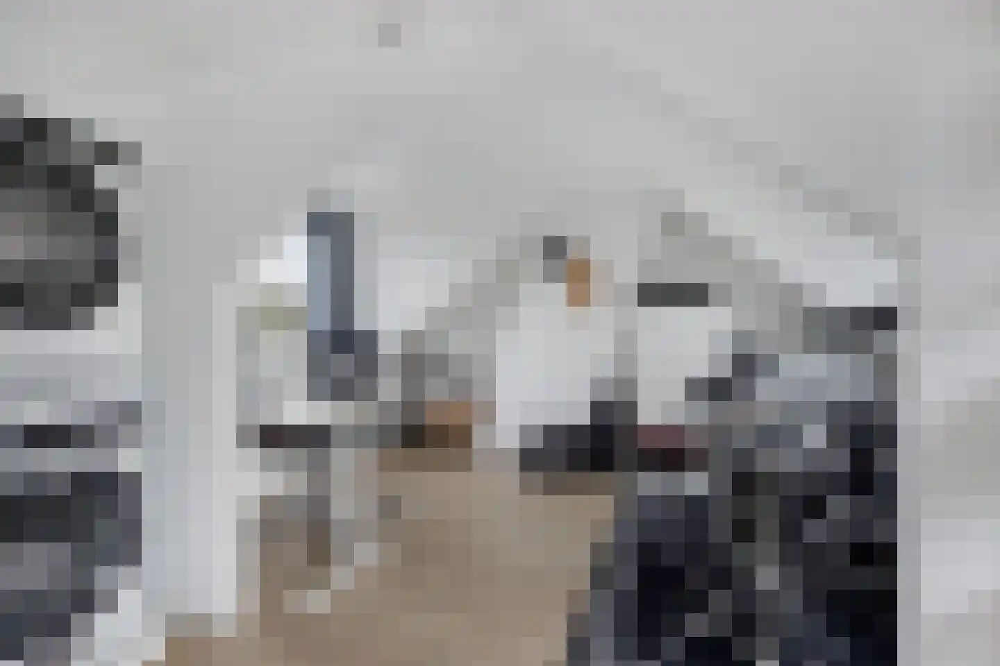 Steenbakkerslaan 14 Leiderdorp thumbnail 20