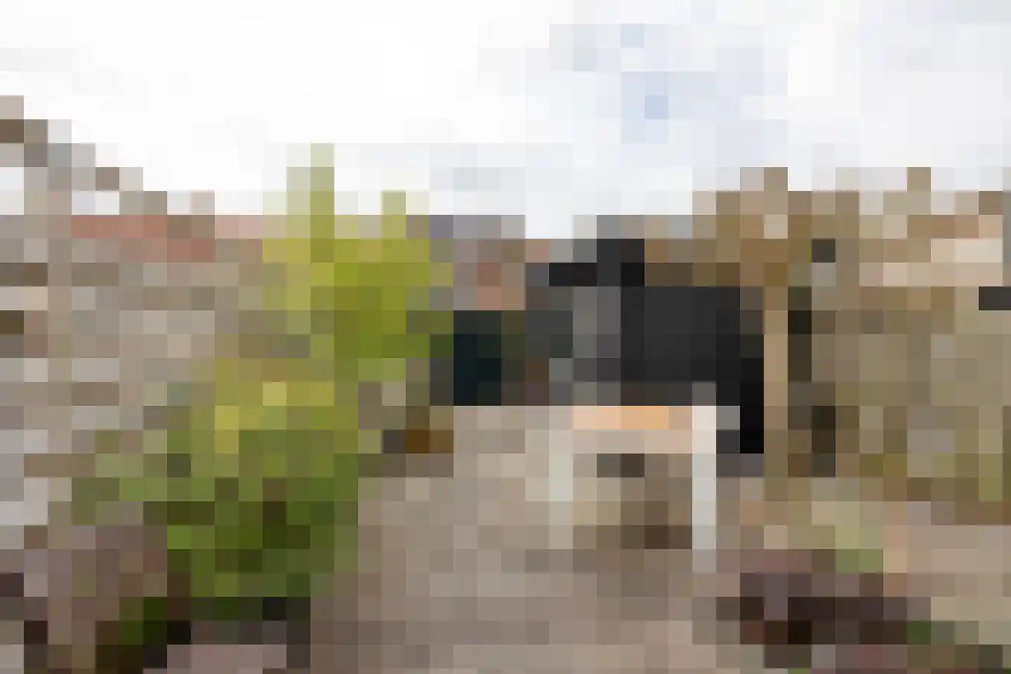 Steenbakkerslaan 14 Leiderdorp thumbnail 22