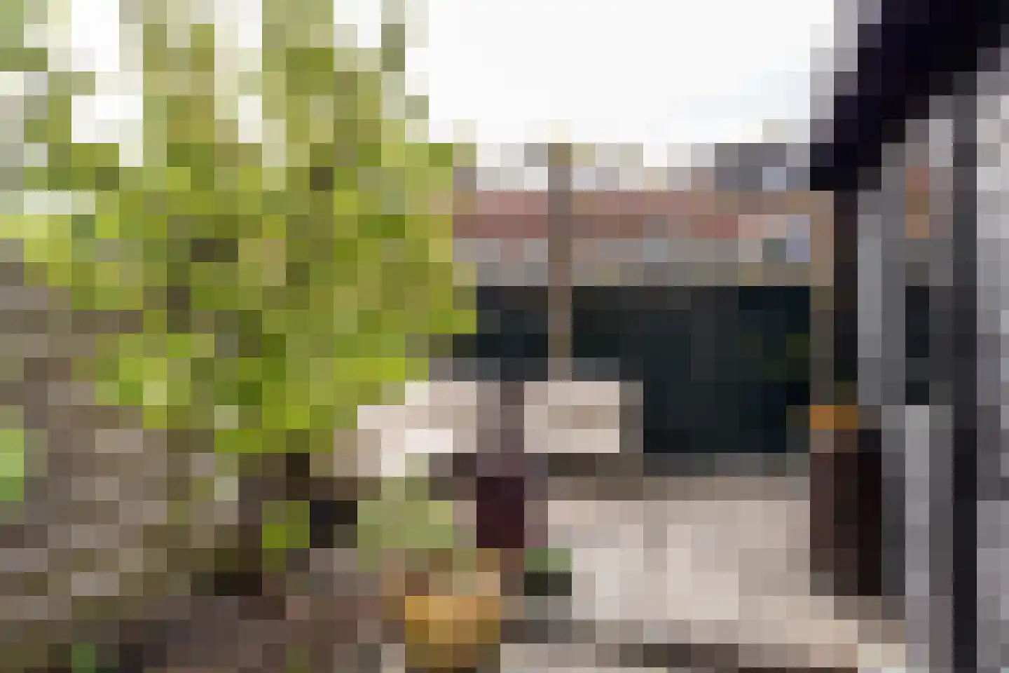 Steenbakkerslaan 14 Leiderdorp thumbnail 23