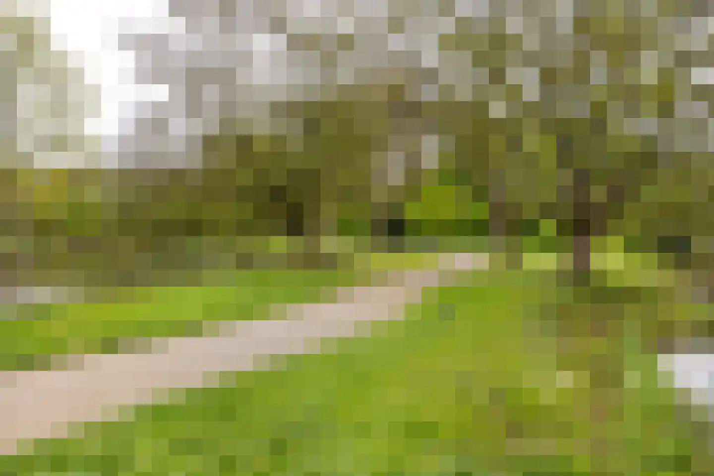 Steenbakkerslaan 14 Leiderdorp thumbnail 29