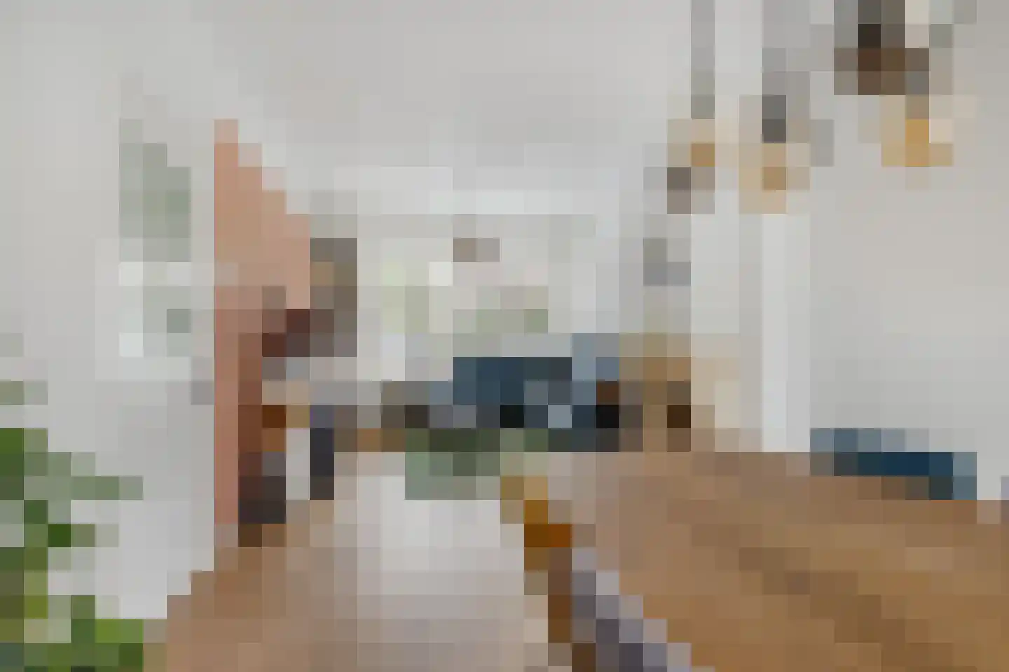Steenbakkerslaan 14 Leiderdorp thumbnail 6