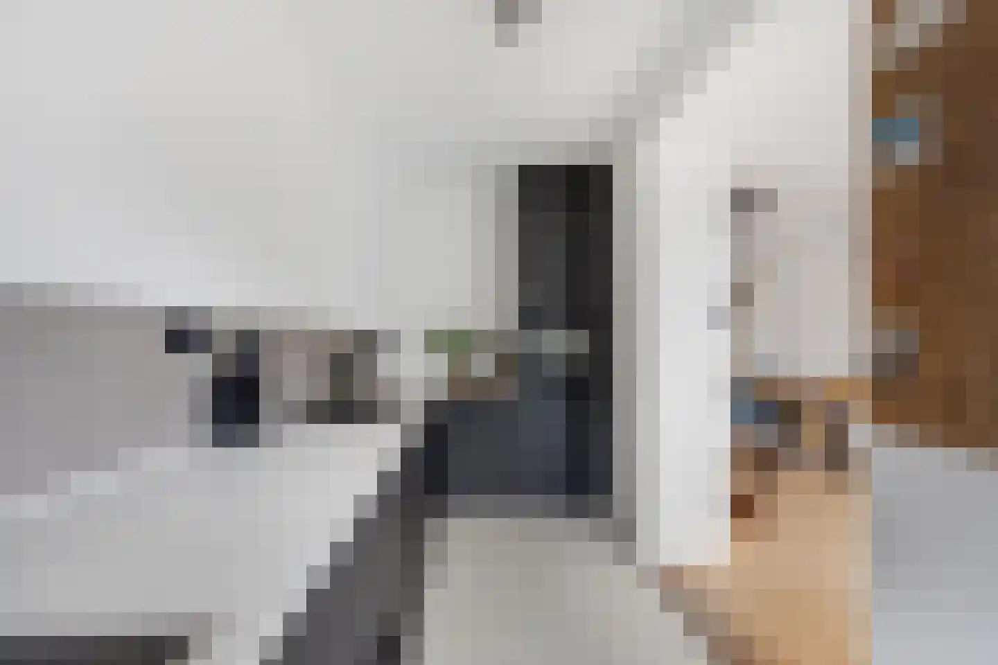 Steenbakkerslaan 14 Leiderdorp thumbnail 9