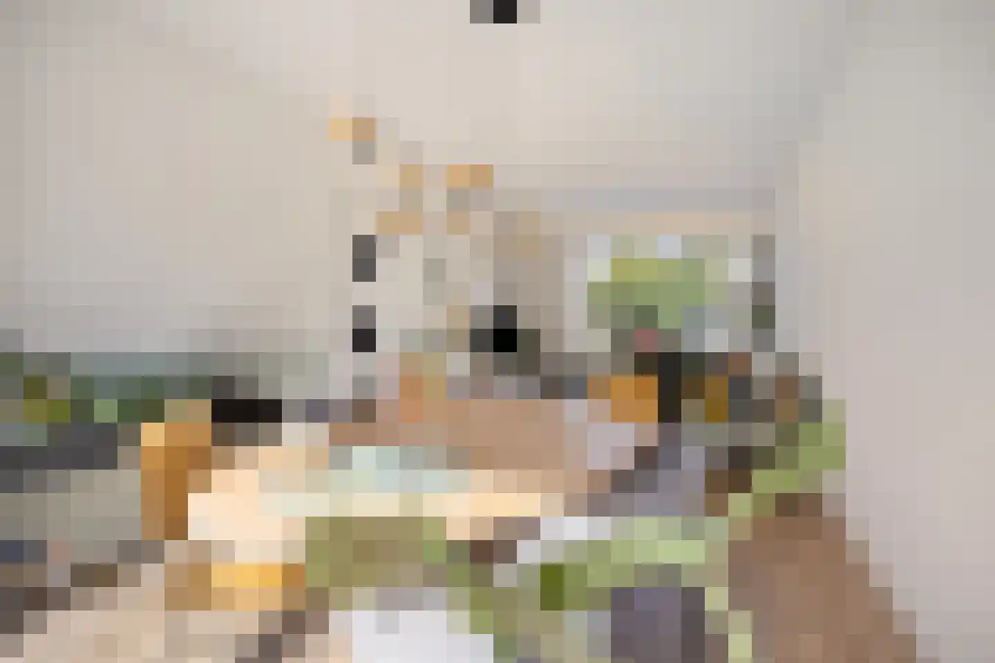 Steenbakkerslaan 18 Leiderdorp thumbnail 21