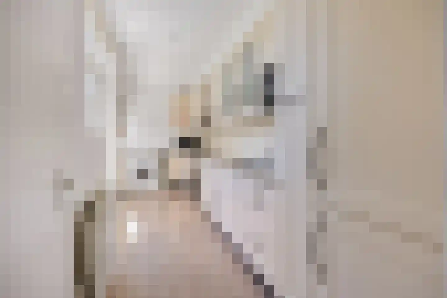 Steenbakkerslaan 18 Leiderdorp thumbnail 22