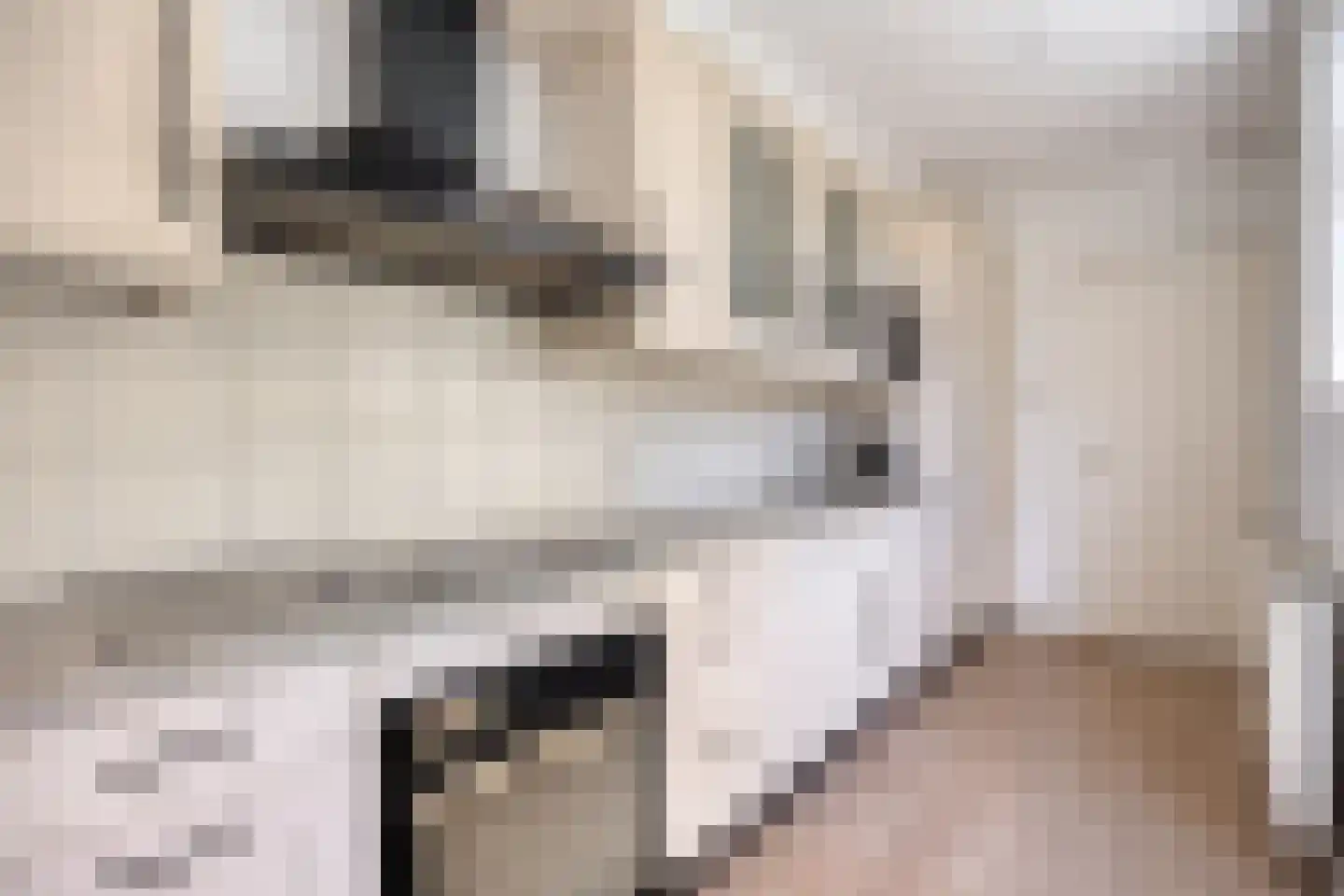 Steenbakkerslaan 18 Leiderdorp thumbnail 23