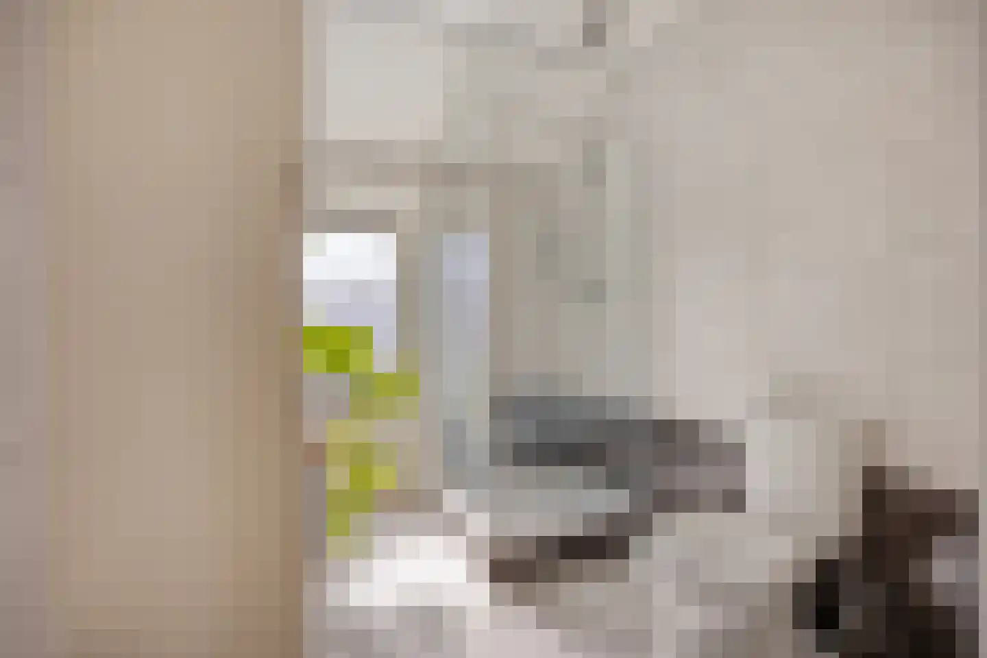 Steenbakkerslaan 18 Leiderdorp thumbnail 26