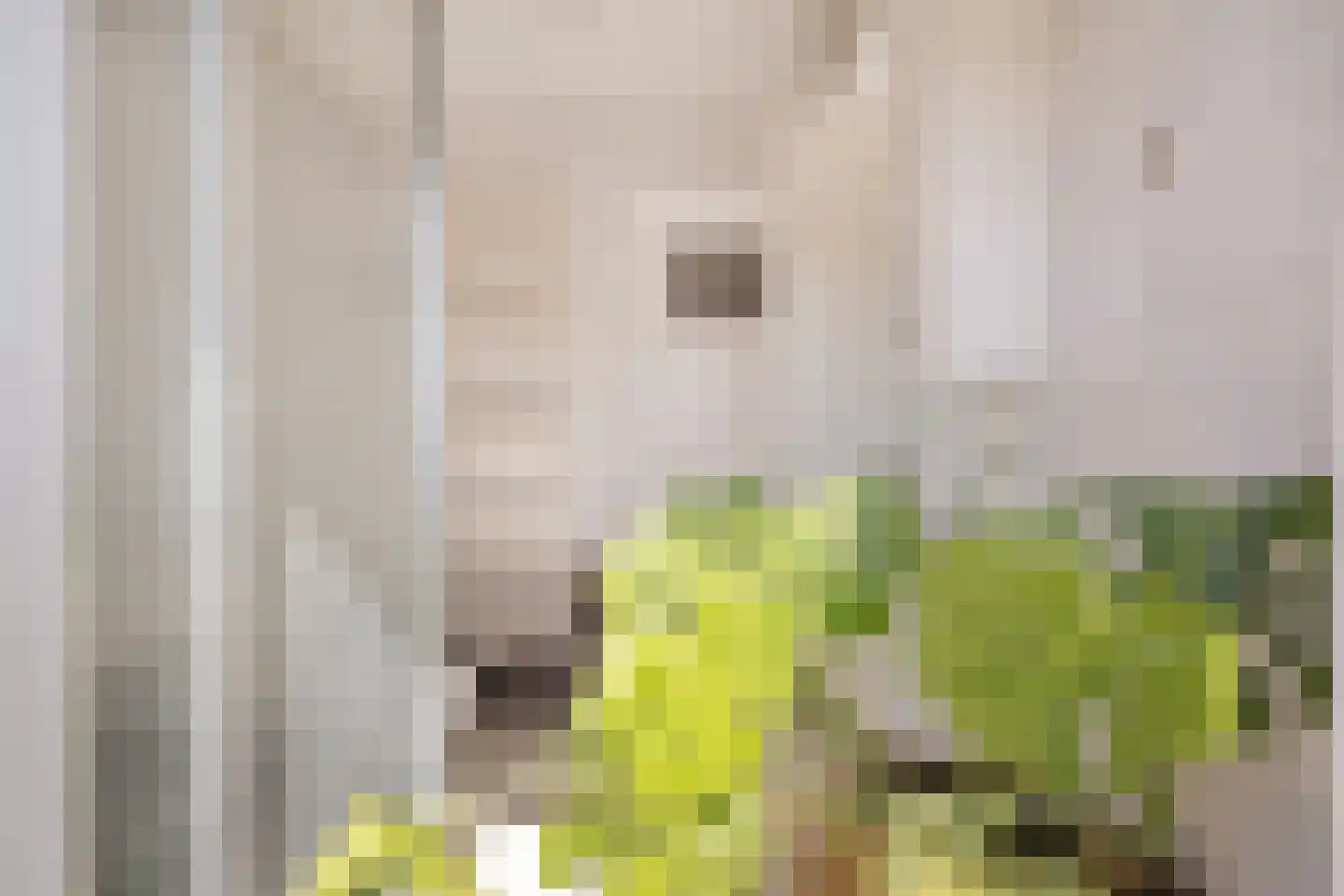 Steenbakkerslaan 18 Leiderdorp thumbnail 27