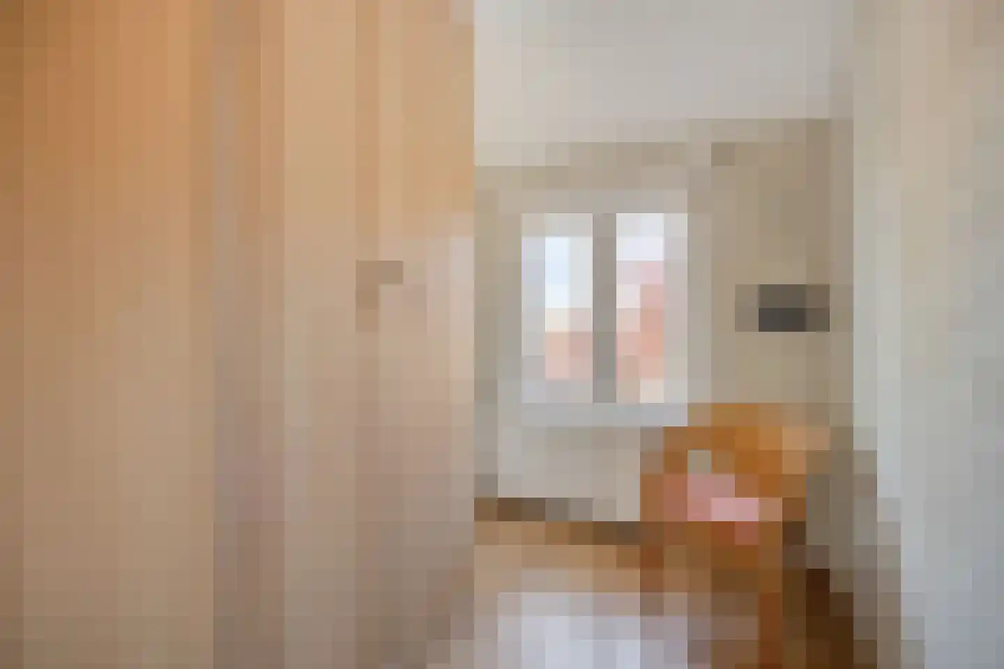 Steenbakkerslaan 18 Leiderdorp thumbnail 33