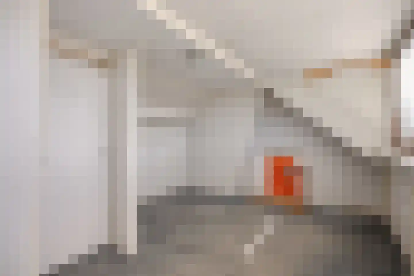 Steenbakkerslaan 18 Leiderdorp thumbnail 36