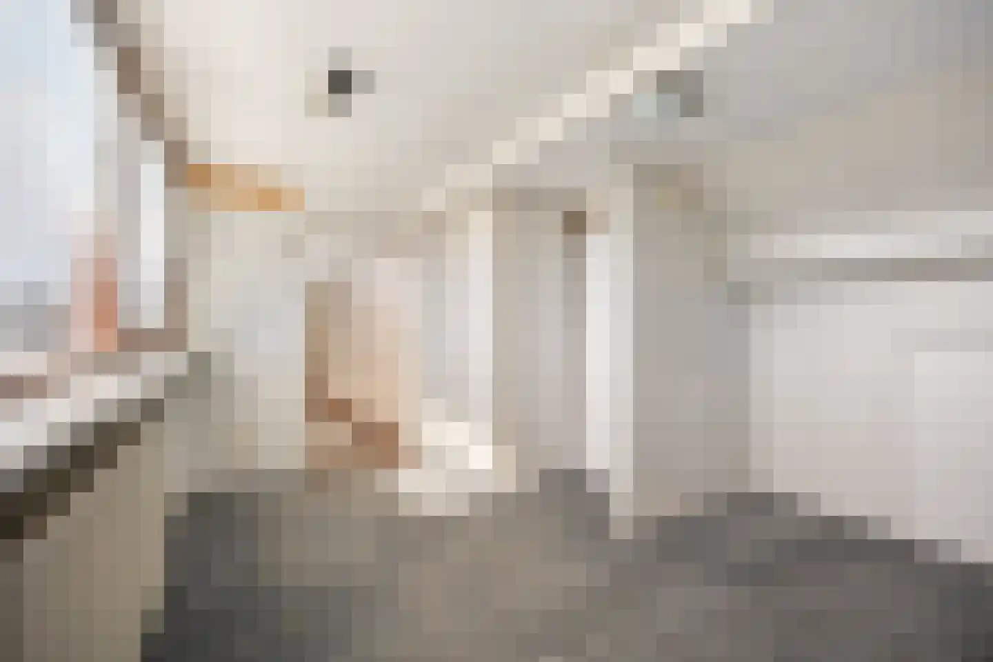 Steenbakkerslaan 18 Leiderdorp thumbnail 37