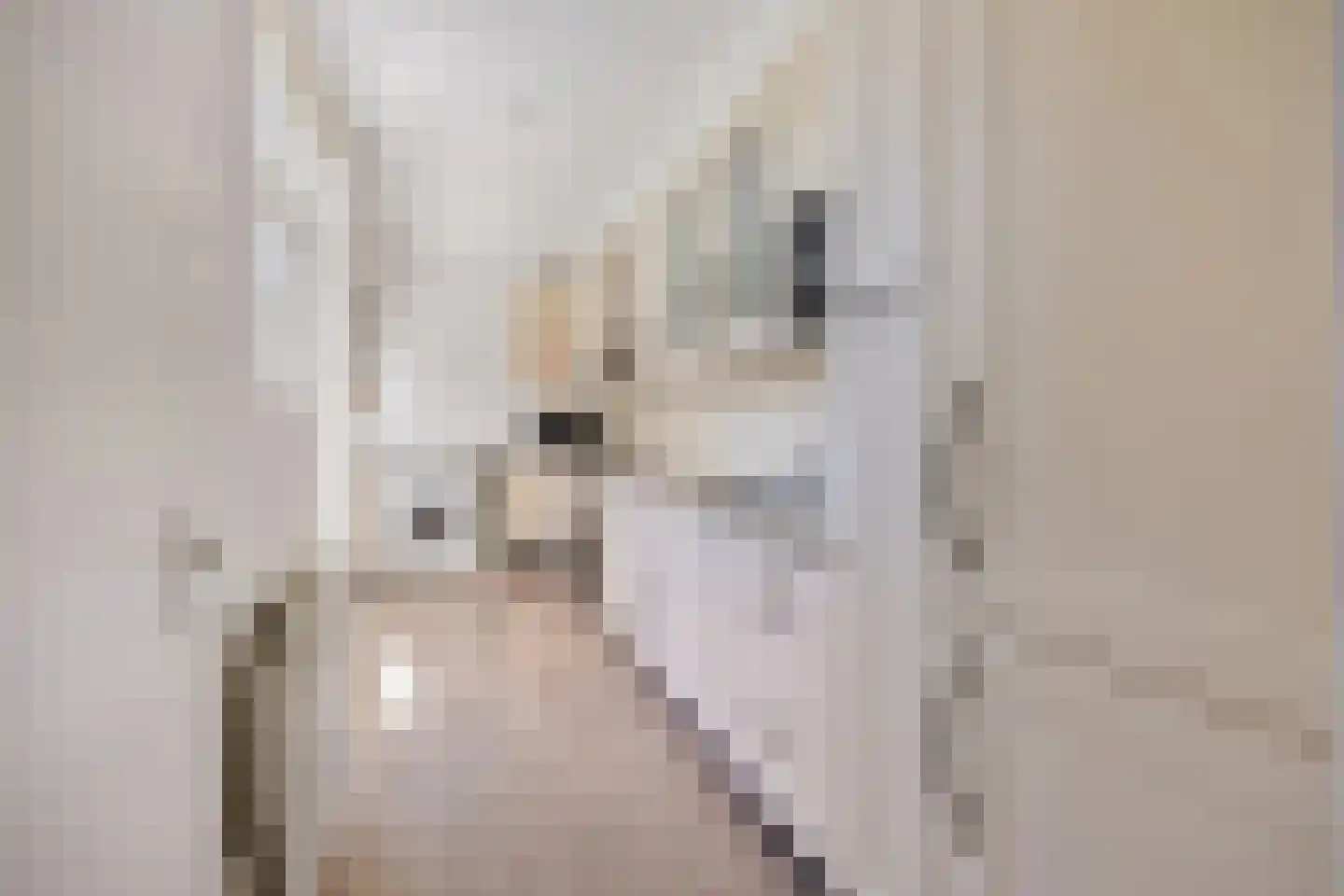 Steenbakkerslaan 18 Leiderdorp thumbnail 4