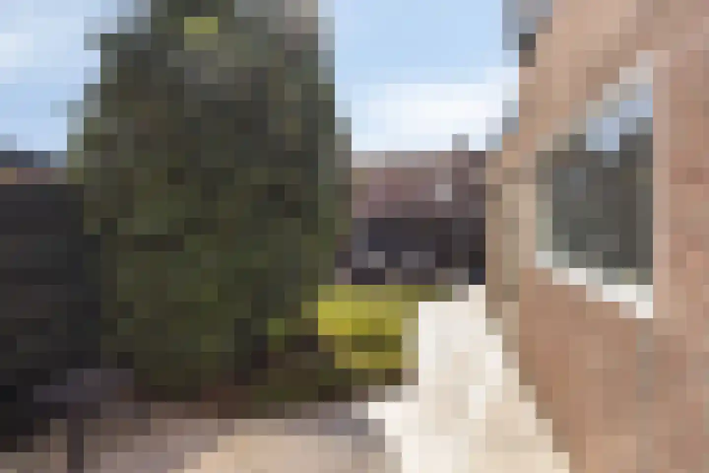 Steenbakkerslaan 18 Leiderdorp thumbnail 40