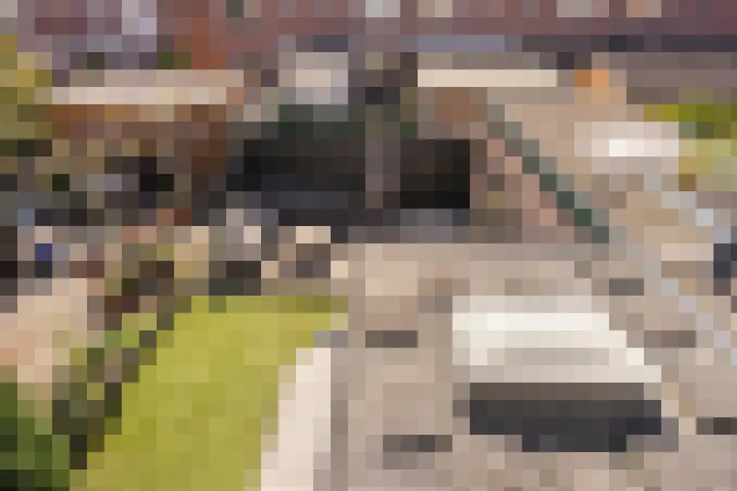 Steenbakkerslaan 18 Leiderdorp thumbnail 43