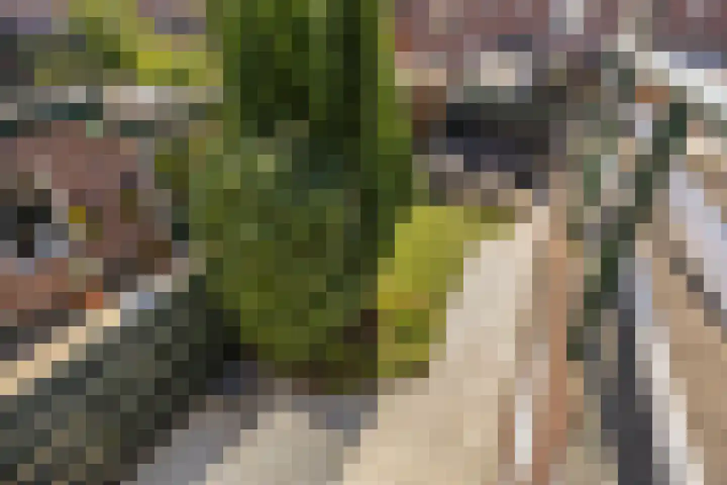 Steenbakkerslaan 18 Leiderdorp thumbnail 44