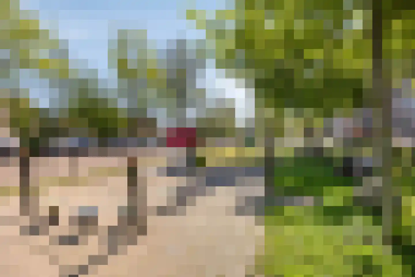 Steenbakkerslaan 18 Leiderdorp thumbnail 46