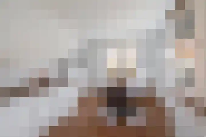 Steenbakkersstraat 18 Krimpen aan den IJssel thumbnail 11