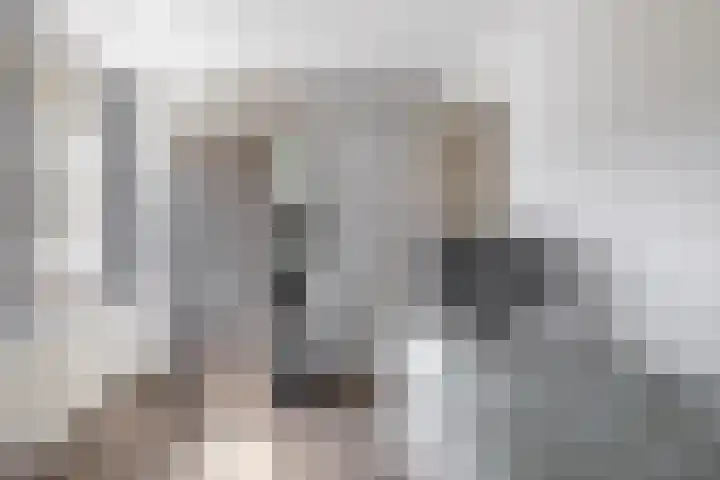 Steenbakkersstraat 18 Krimpen aan den IJssel thumbnail 23