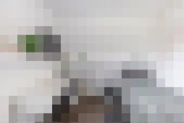 Steenbakkersstraat 18 Krimpen aan den IJssel thumbnail 25