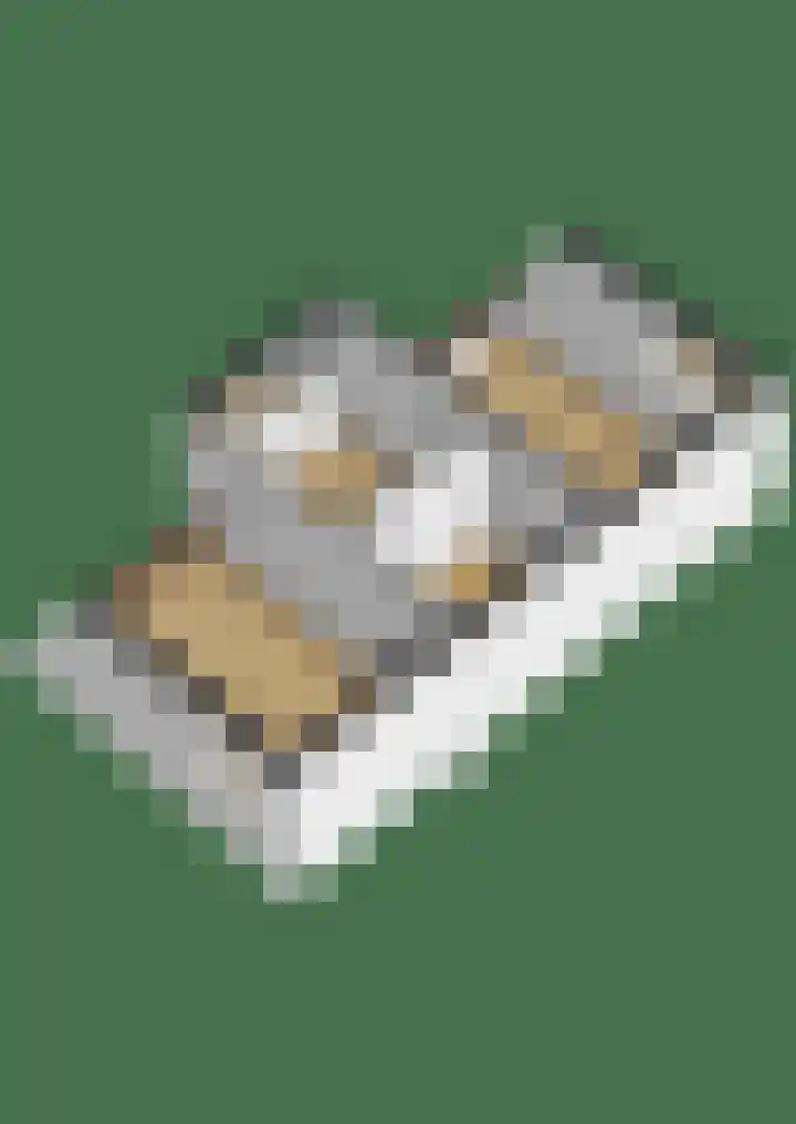 Steenbakkersstraat 18 Krimpen aan den IJssel thumbnail 40