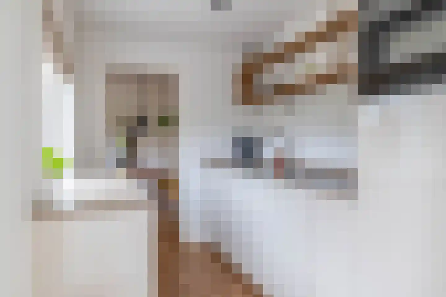 Steenbakkersstraat 41 Krimpen aan den IJssel thumbnail 18
