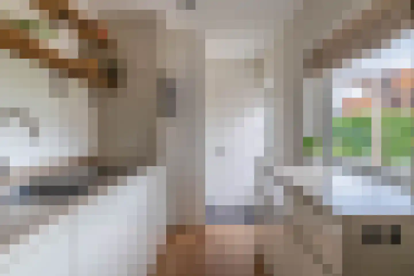 Steenbakkersstraat 41 Krimpen aan den IJssel thumbnail 19