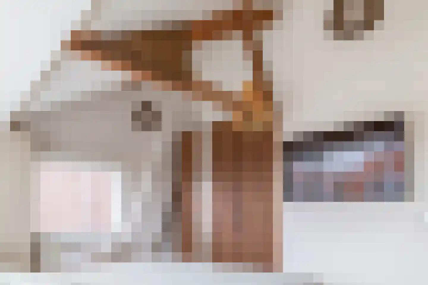 Steenbakkersstraat 41 Krimpen aan den IJssel thumbnail 26