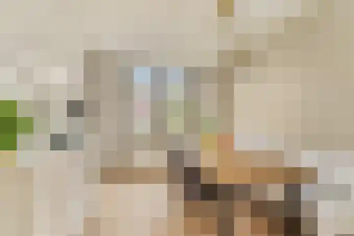 Steenbakkersstraat 42 Krimpen aan den IJssel thumbnail 10