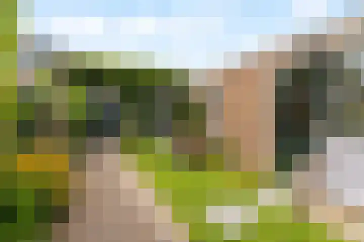 Steenbakkersstraat 42 Krimpen aan den IJssel thumbnail 24