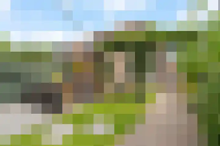 Steenbakkersstraat 42 Krimpen aan den IJssel thumbnail 25
