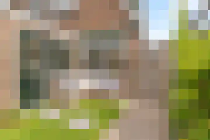 Steenbakkersstraat 42 Krimpen aan den IJssel thumbnail 26