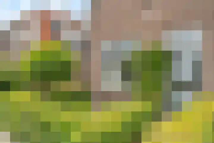 Steenbakkersstraat 42 Krimpen aan den IJssel thumbnail 30