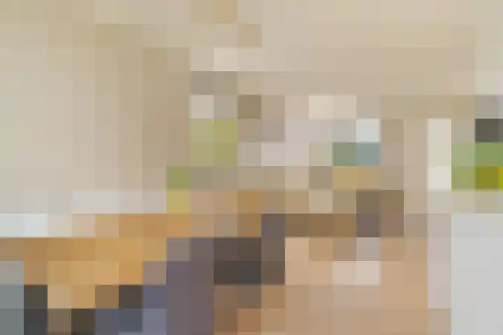 Steenbakkersstraat 42 Krimpen aan den IJssel thumbnail 5