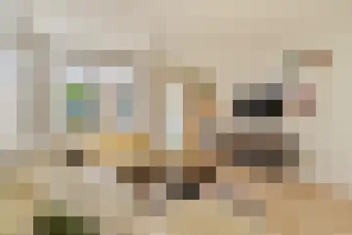 Steenbakkersstraat 42 Krimpen aan den IJssel thumbnail 7