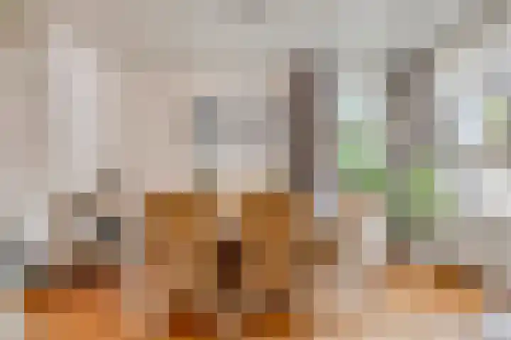Steenbakkersstraat 48 Krimpen aan den IJssel thumbnail 13