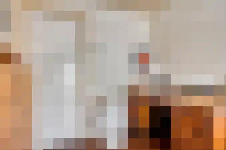 Steenbakkersstraat 48 Krimpen aan den IJssel thumbnail 23