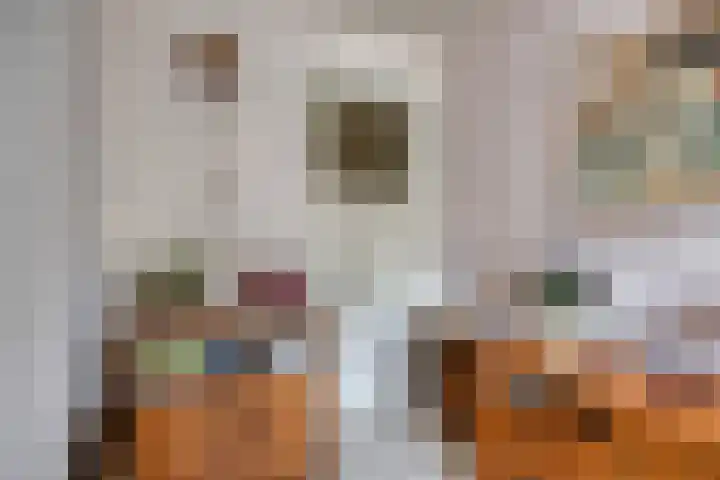 Steenbakkersstraat 48 Krimpen aan den IJssel thumbnail 25