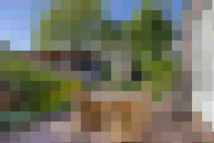 Steenbakkersstraat 48 Krimpen aan den IJssel thumbnail 26